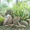 Product image 1 of the product “Set of 12 wooden birds in a box, 6 with feet and 6 with metal stick 3mm ”
